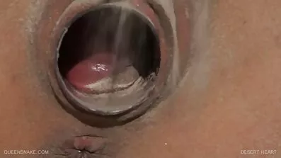 Robbie Gigolo knullar hennes fitta och dips hans kuk i hennes svensk porrfilm mun.